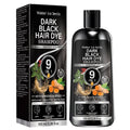 Water Ice Levin Plant Black Hair Dye Shampoo 100ml Ginseng Ginger Mild Coloring Nourish Scalp Long Lasting Hair Care Qme Smoothing & Straightening