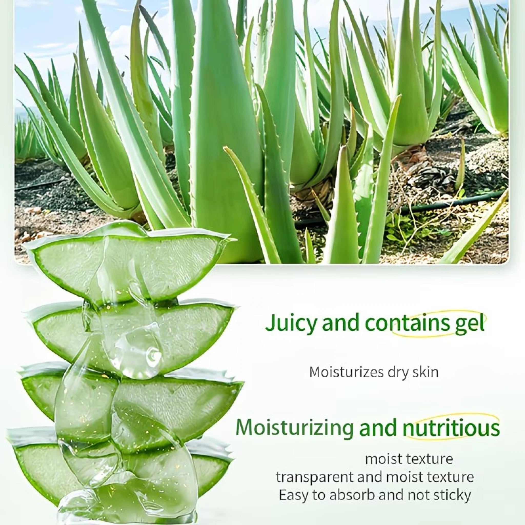 Urea Salicylic Acid Hand Foot Cream Aloe Jojoba Oil Infused Hydrating Soften Dry Cracked Rough Skin Daily Repair Gel 100g Qme