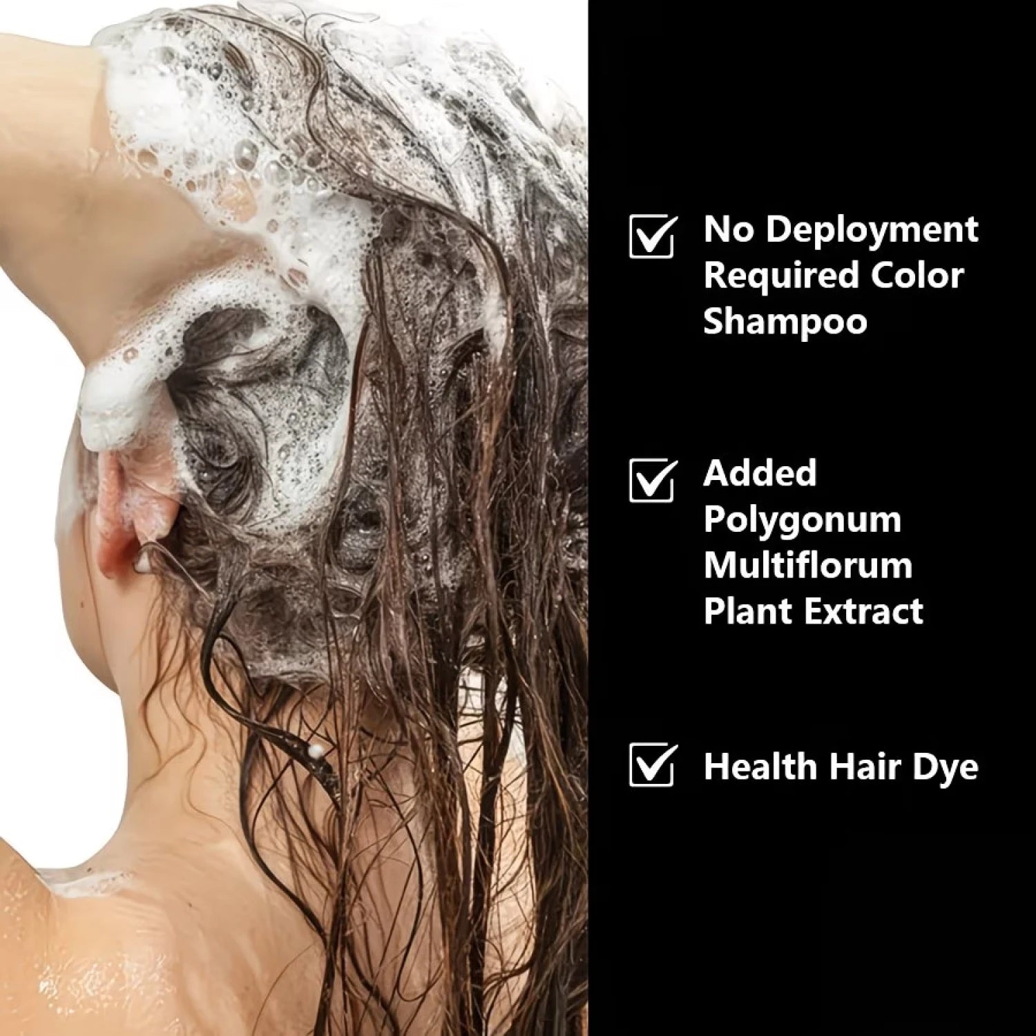 Water Ice Levin Plant Black Hair Dye Shampoo 100ml Ginseng Ginger Mild Coloring Nourish Scalp Long Lasting Hair Care Qme