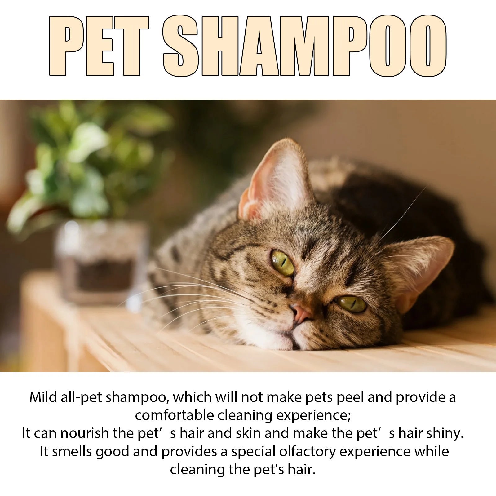 Pet Wash Shampoo Dogs Hair Soften Dirts Mites Removal Flea Kille Deodorizing Reduce Itching Anti Flea Pet Grooming Puppy Shampoo Qme