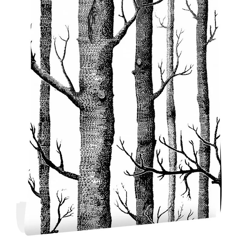 Birch Forest Self-adhesive 3D Wallpaper Living Room Bedroom Wall Qme Black White Birch 10mx45cm