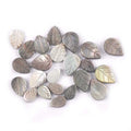 5Pcs Natural Pearl Leaf Shells Beads For Making Bracelet Necklace Handmade Crafts Seashell Jewelry DIY Charm Accessories 8-16mm Qme 12x16mm