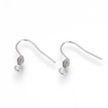 20Pcs Stainless Steel French Style Ear Wire Fish Hook Earring Earwires with Coil for DIY Dangle Earring Jewelry Making Qme Default Title