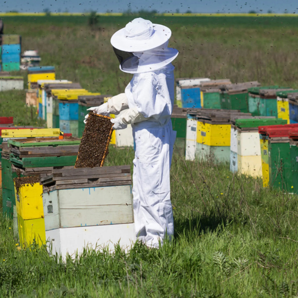 White Split Beekeeping Clothing Professional Bee Protection Beekeeping Suit With Gloves And Bee Hive Tool Beekeeping Calm Qme