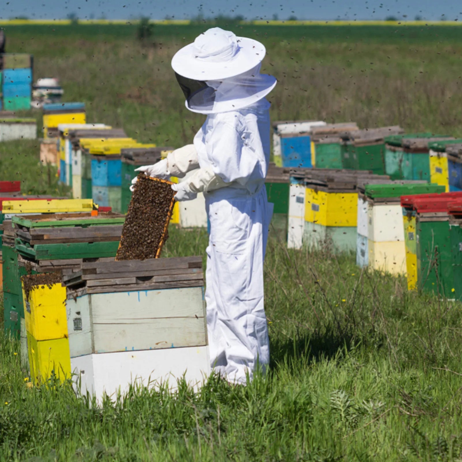 White Split Beekeeping Clothing Professional Bee Protection Beekeeping Suit With Gloves And Bee Hive Tool Beekeeping Calm Qme