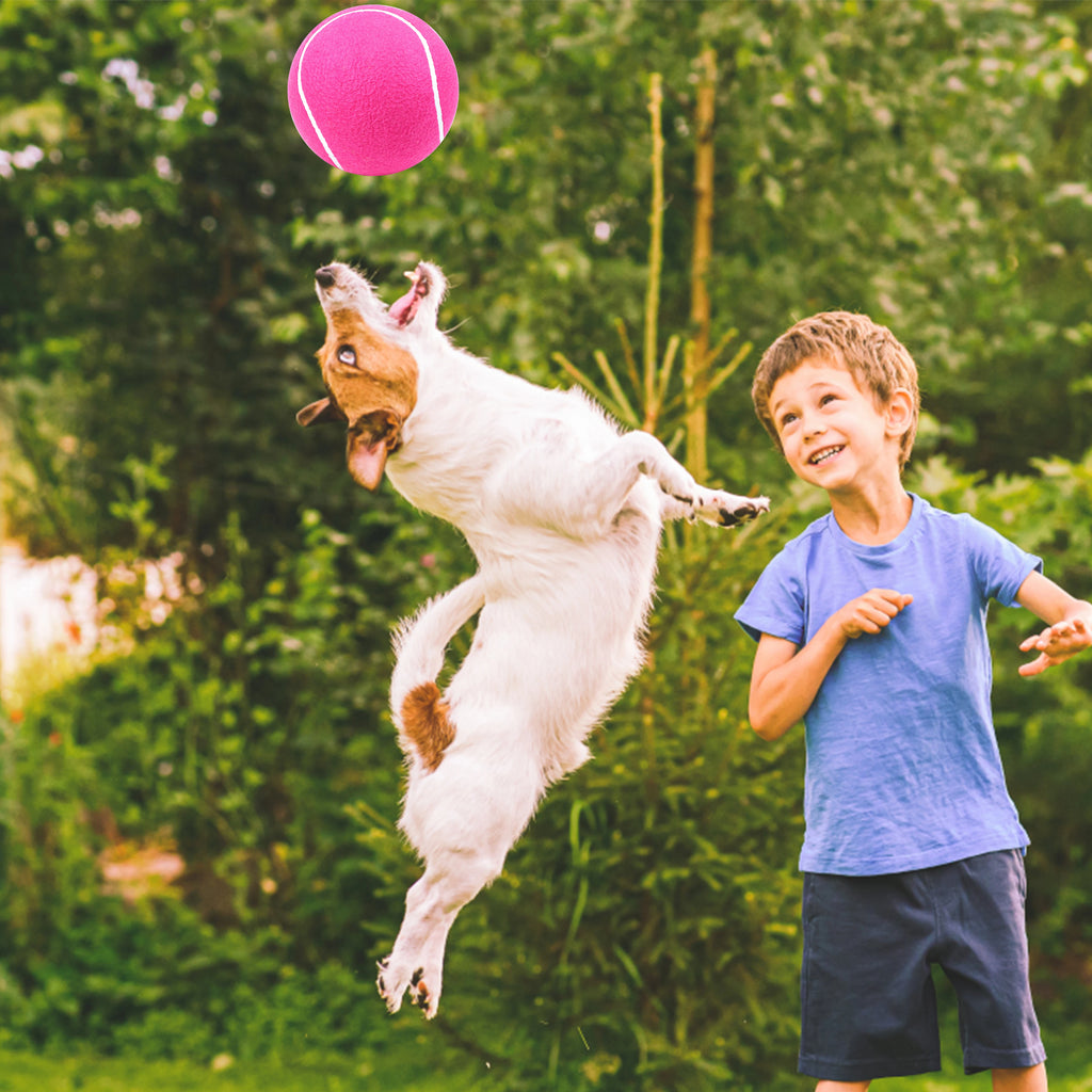 1 Pack Portable Air Pump Inflator for Dog Inflatable Tennis Balls Pet Toy Ball Hand Pump（without ball） Qme