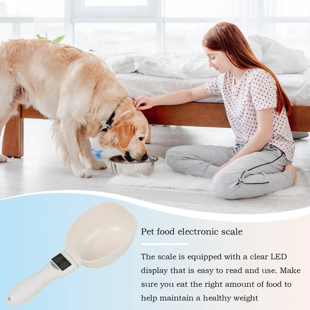 Digital Measuring Spoon 800g/0.1g High Precision Scale Scoop for Weighing with Led Display Detachable Handle Cup Weighing Tool Qme
