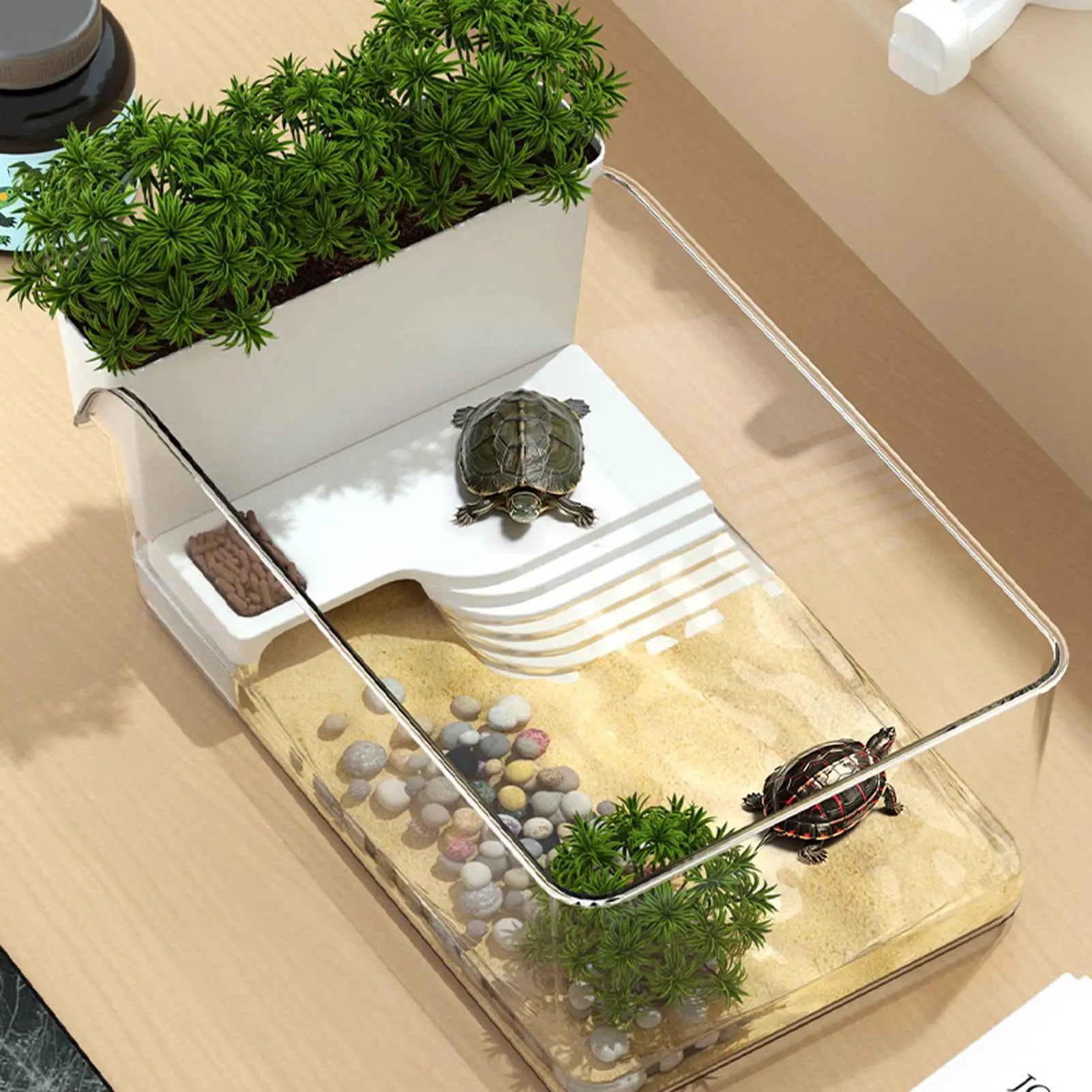 Small Turtle Tank Transparent Turtle Terrarium Small Tortoise Aquarium for Terrapin Home School Science Class Community Animal Qme