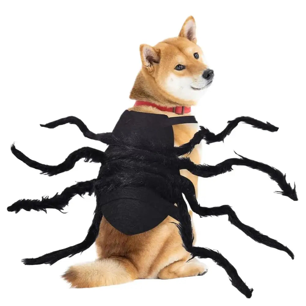 Dog Spider Costume Puppy Halloween Spider Cosplay Costumes Spooky Pet Cosplay Outfit Dress Up Accessories For Puppy Event Party Qme Black China Mainland
