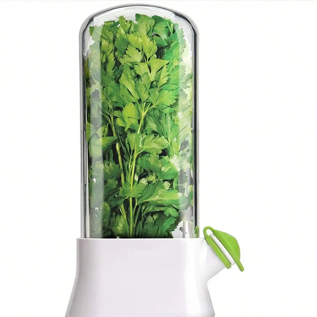 Herbal Storage Containers Refrigerator Vanilla Coriander Boxes Qme white