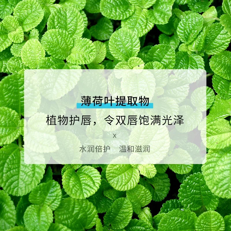 10g Moisturizing Lip Balm Hydrating Exfoliating Long Lasting Waterproof Easy To Wear Natural Makeup Lip Balm Qme