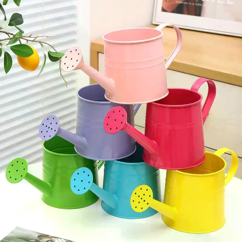 Metal Watering Can Garden Flower Kettle Mini Small Water Spraying Pot Sprinkle With Large Capacity For Kids Adult Qme