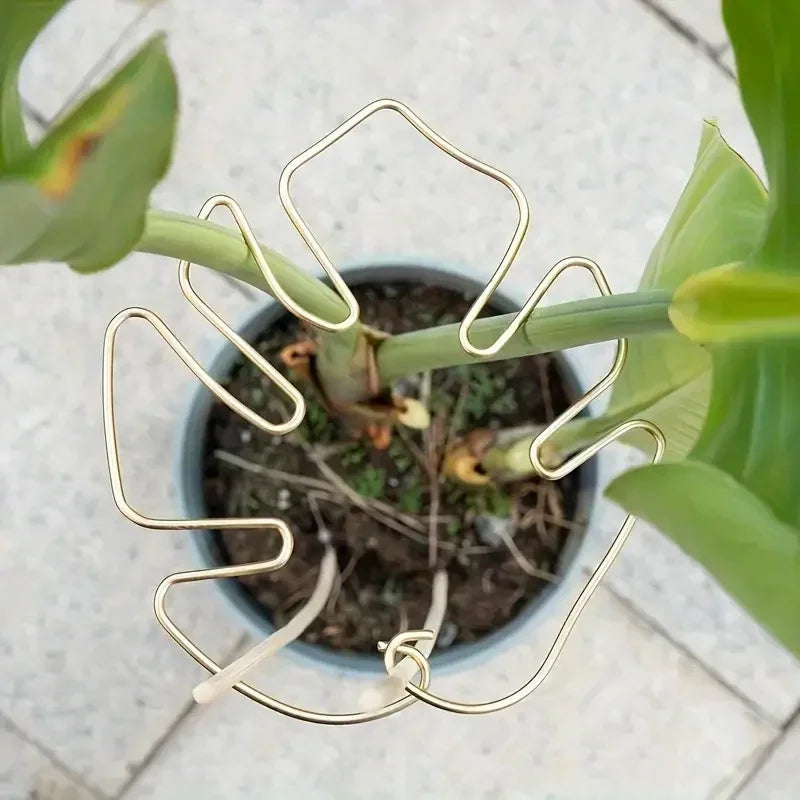 Indoor Outdoor Stem Upright Support Ring Monstera Leaf Anti-fall Plant Shaping Wire Holder For Plant Potted Growth Styling Tool Qme