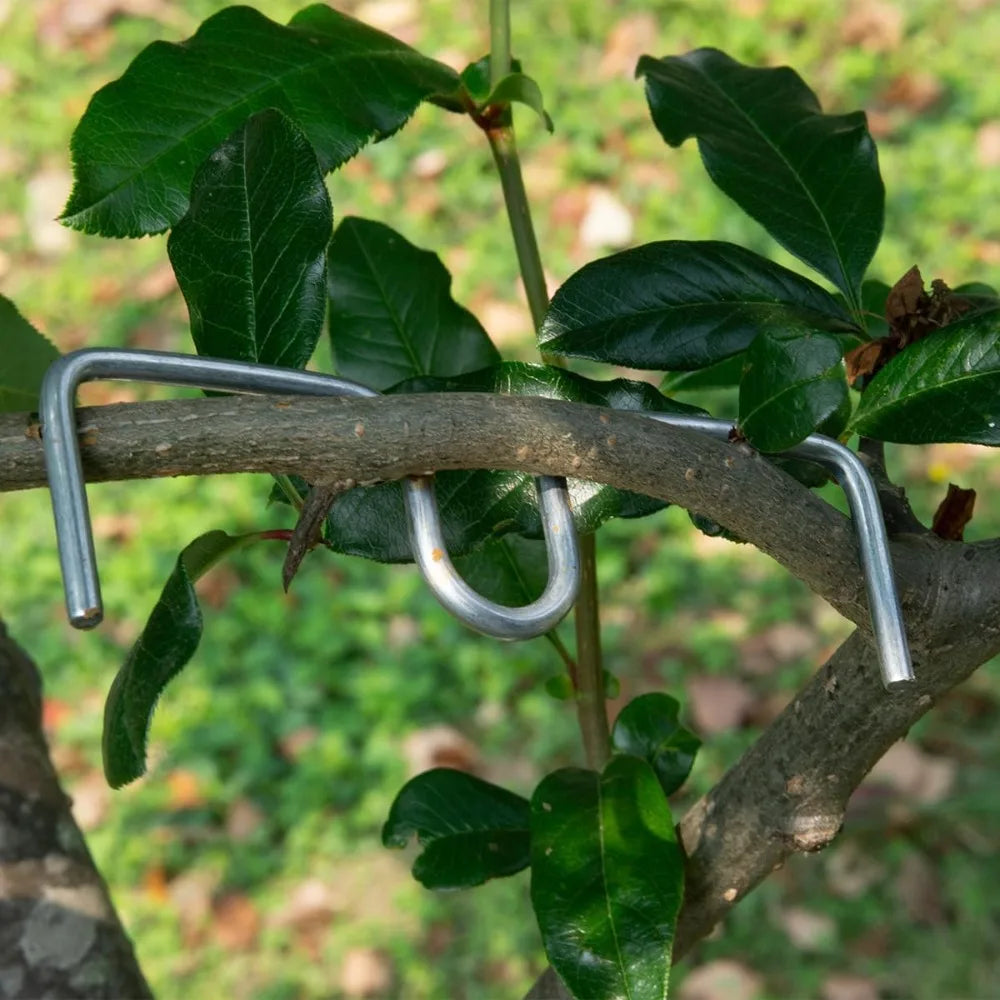 10/30Pcs Fruit Tree Branch Shape Fixator M-Type Branch Trainer Angle Benders Reusable Fruit Tree Support Holder Vine Trainers Qme