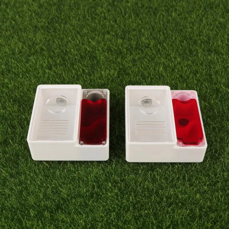 3D Printed Ant Farm Queen Ant's Nest Supplies Beginner Keepers House Qme