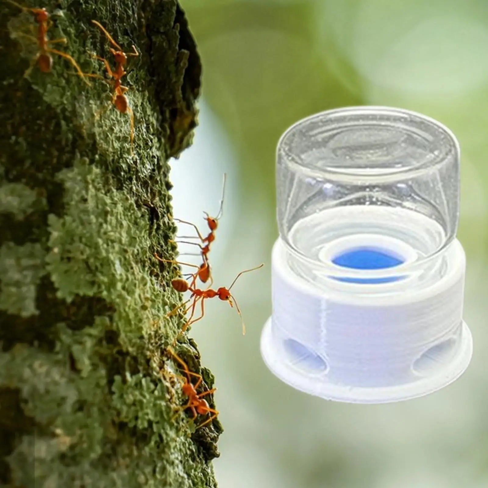 Ant Liquid Feeder Anti-Drowning Transparent Leakproof Bee Water Station for Home Classroom Farm Outdoors Qme