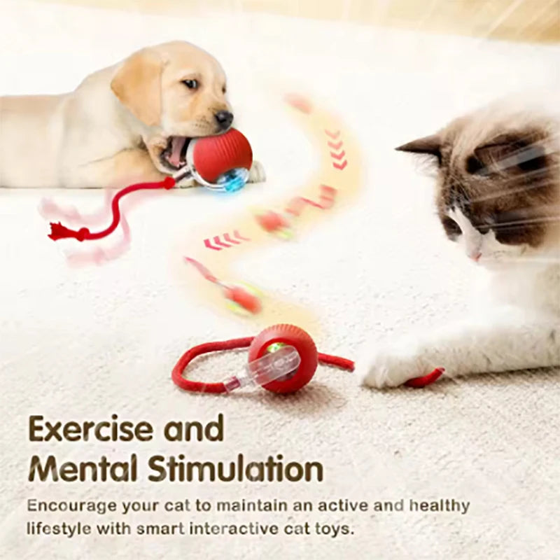 New interactive cat ball toy with automatic rolling ball simulation tail rechargeable intelligent pet electric toy Qme