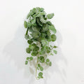 1PC Simulated Vine Plants, Crabapple Leaves, Living Room Green Plants, Display Window Decorations Qme 70cm