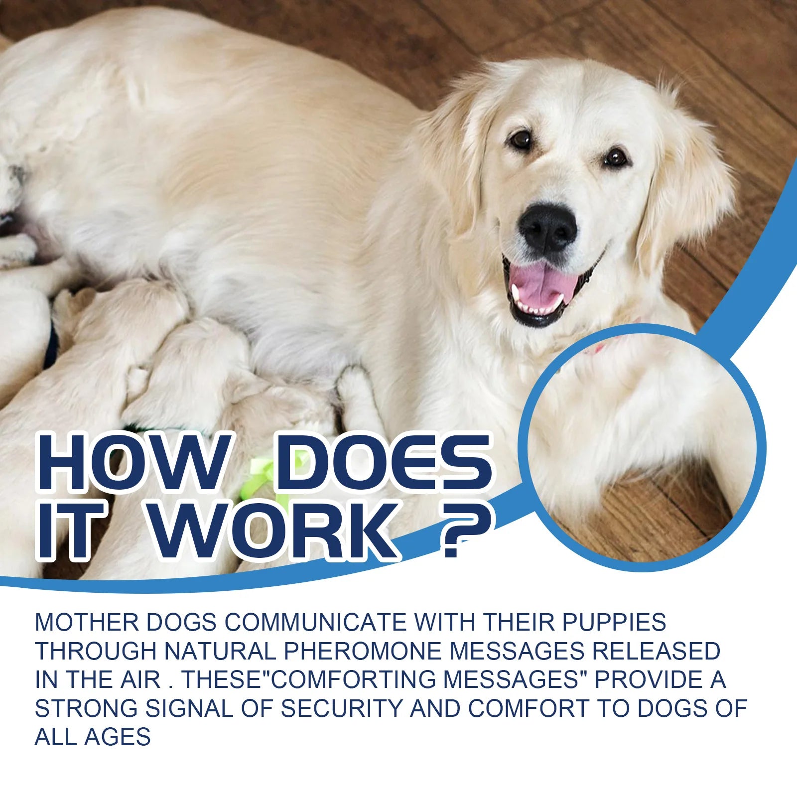 Dog Calming Liquid Reduce Dog Noise Pet Calming Manage Emotions Anti Scratching Puppy Cat Howling Fighting Prevention Pet Supply Qme