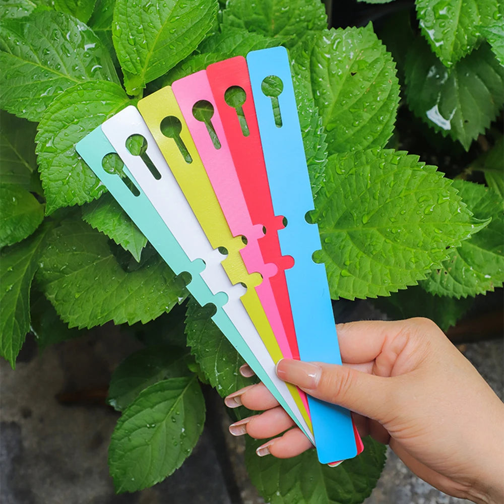 100PCS Pvc Waterproof Ring For Flower Plant Labels, Seedlings, Orchids, Garden Floral Markers, Plastic Signboards Qme