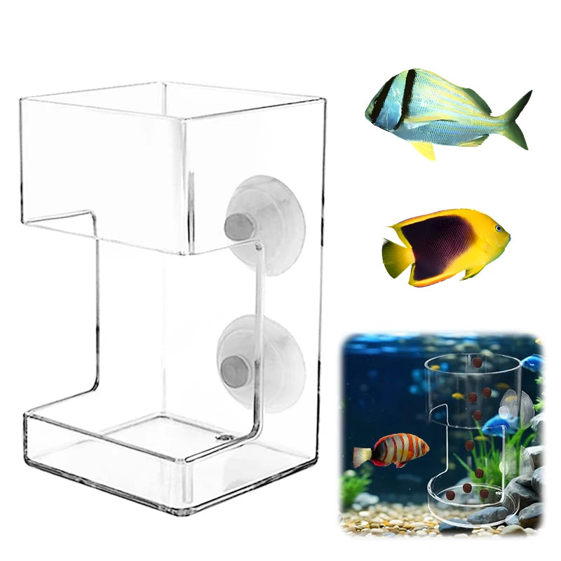 Aquarium 2025 Fish Tank Dish Tray Suction Cup Acrylic Feeding Tube Qme Clear square