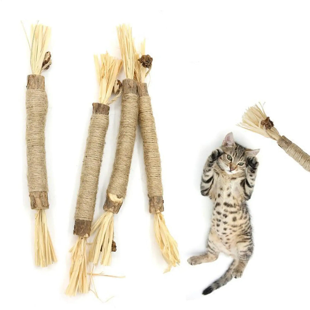 Cat Silvervine Sticks Edible Lick Catnip Supports Toys Kittens Chew Qme