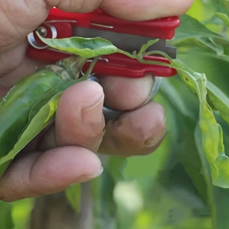 4 Thumb Knives Gardening Seedling Picking Qme
