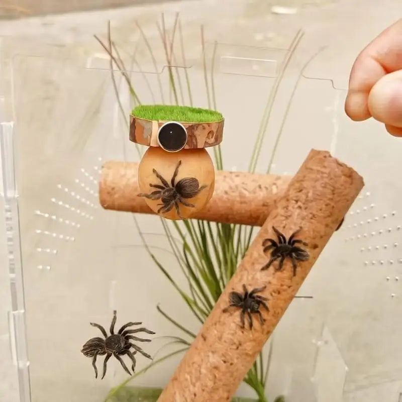Natural Hide Decorative Jumping Spider Enclosure Decor Handmade Mini Qme