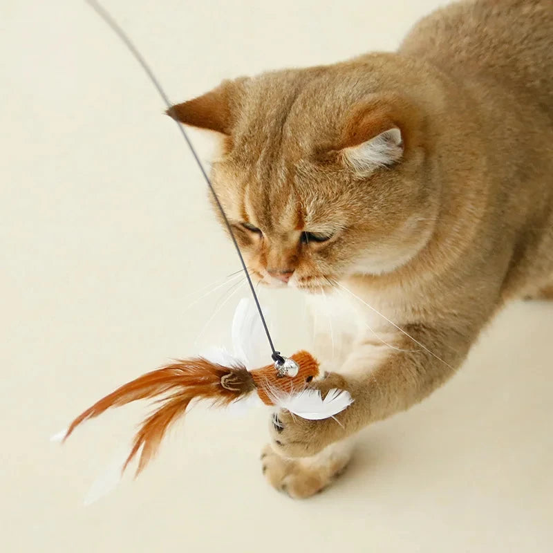 Funny Bird Feather Cat Wand With Bell Accessories Interactive Toys For Cats Kitten Hunting Teaser Exercise Pet Products Qme