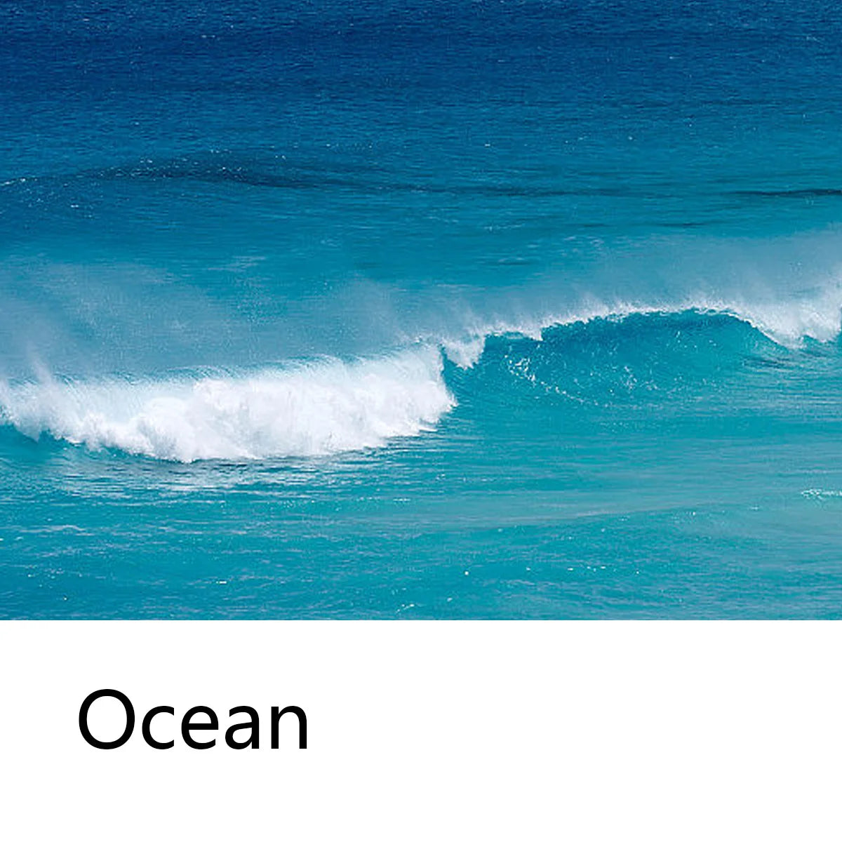 Ocean Shampoo Bar Refreshing Comfortable Summer Nourishing Hair Care Qme