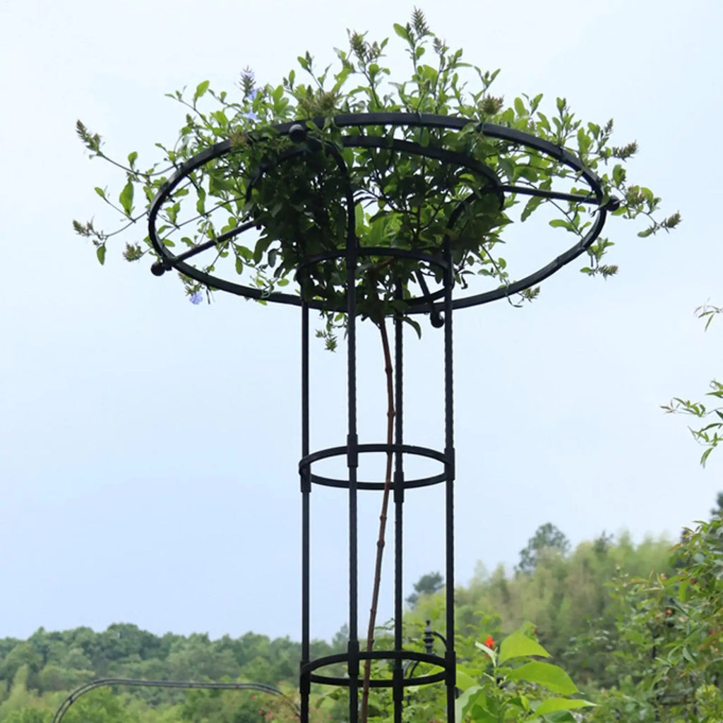 Trellis for Climbing Plants Vegetable Vertical Support Frame Outdoor Gardening Support Trellis for Climbing Plants Flowers Vines Qme