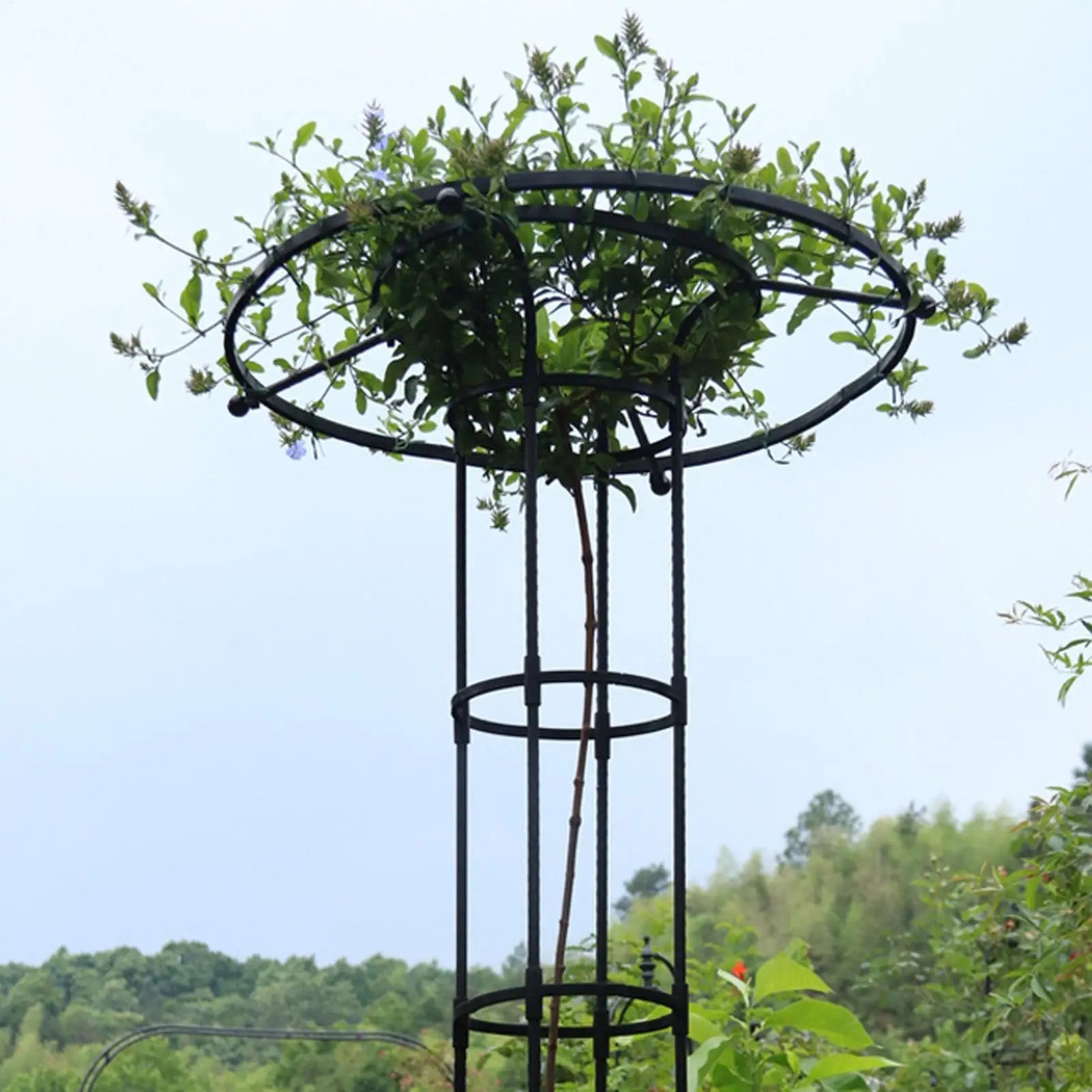 Trellis for Climbing Plants Vegetable Vertical Support Frame Outdoor Gardening Support Trellis for Climbing Plants Flowers Vines Qme