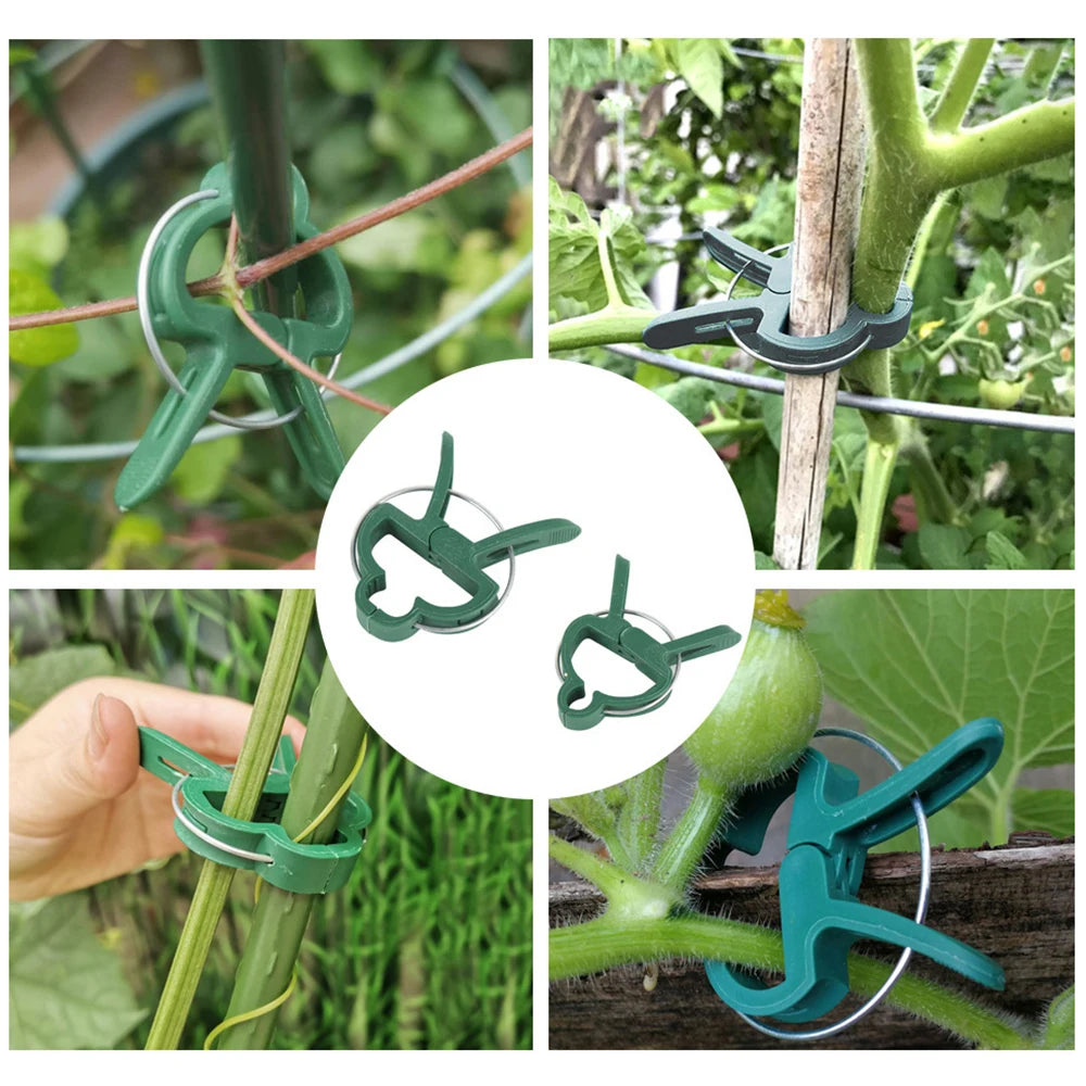 20PCS Garden Butterfly Orchid Garden Set Tomato Plants Clip Plastic Clips Gardening Tools Qme