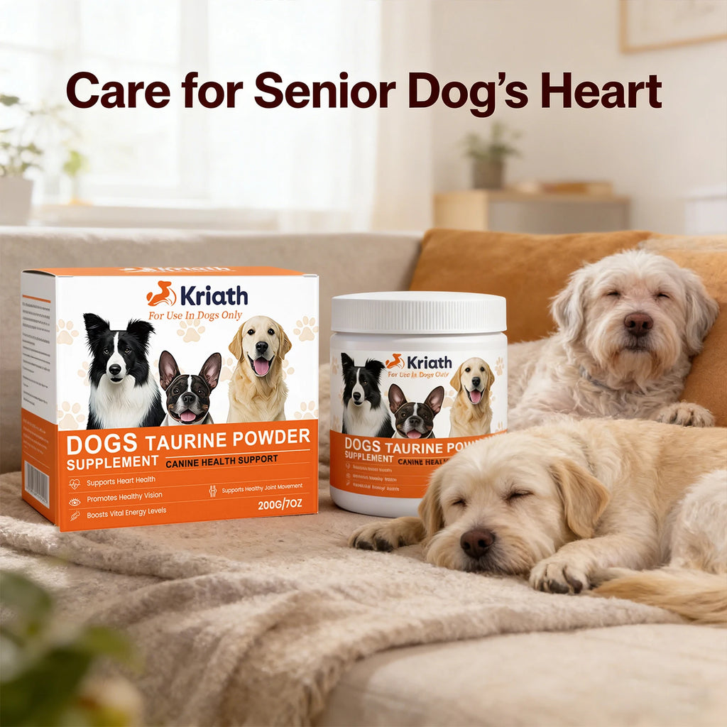 Dogs Taurine Powder Support Heart Health Boosts Vital Energy Levels Maintain Healthy Joint Movement Daily Nutrition Supplements Qme