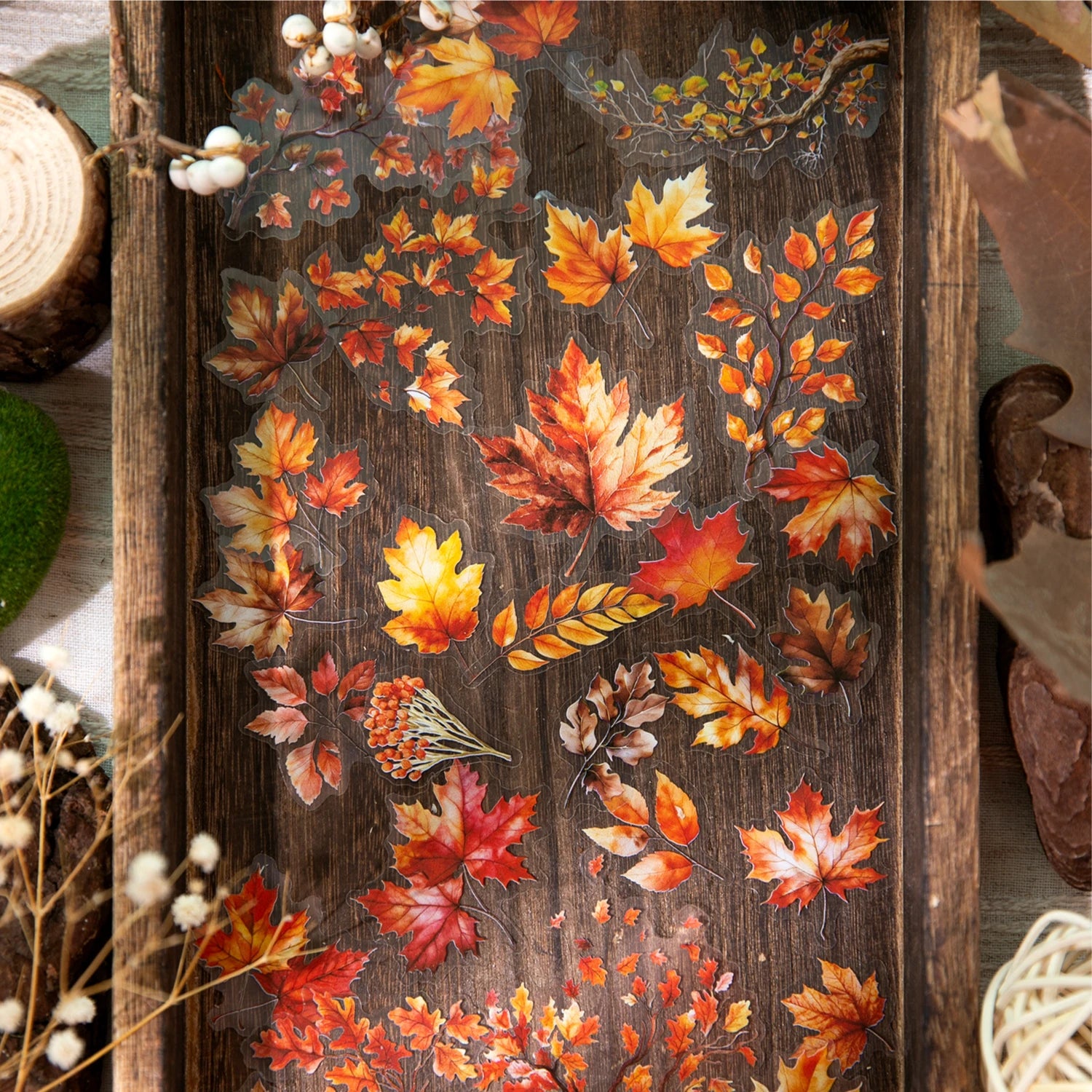 30 Sheets Autumn Fall Leaves Theme PET Stickers for DIY Craft Scrapbooking Collage Guitar Phone Case Decoration Qme