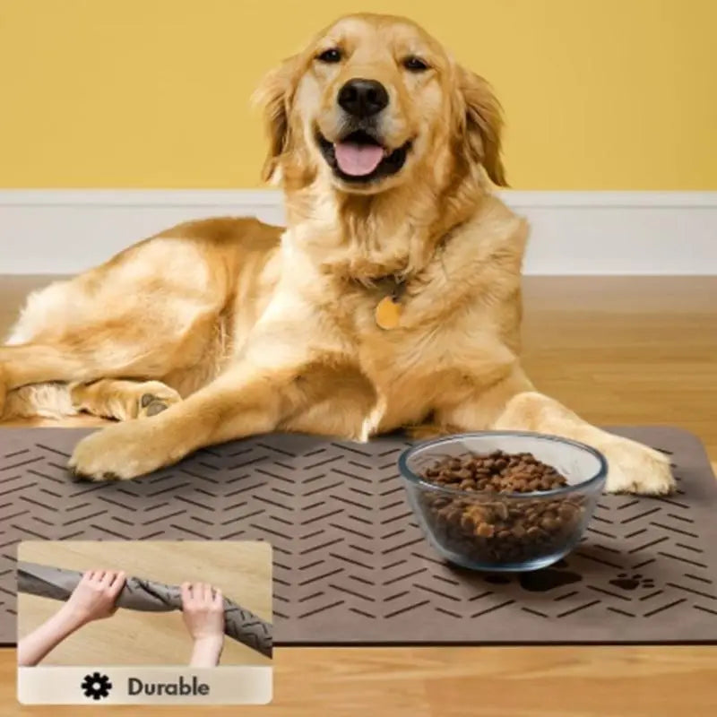 Waterproof Rubber Backing Quick Dry Water Mat Dog Cat Pet Feeding Qme