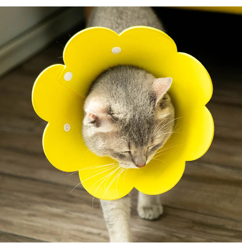 B Soft Adjustable Flower Shaped Pet Recovery Collar, Elizabethan Protective Collar Anti-Bite Healing Aid for Puppy Kitten Qme