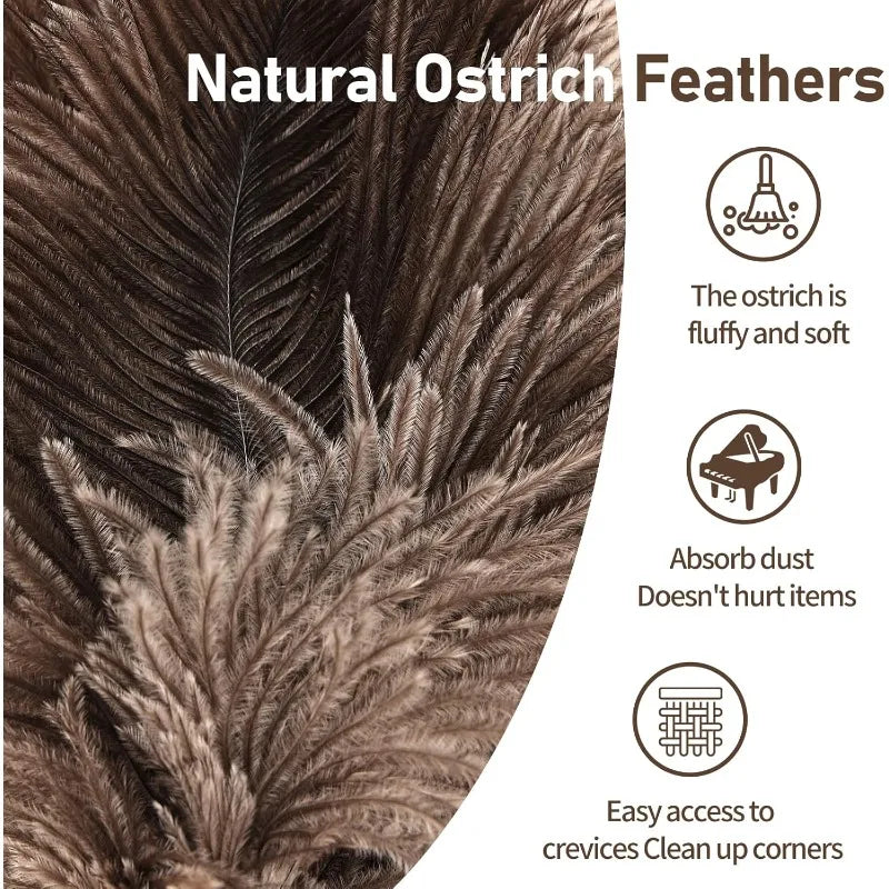 Natural Fluffy Ostrich Feather Duster Handle Reusable Furniture Qme