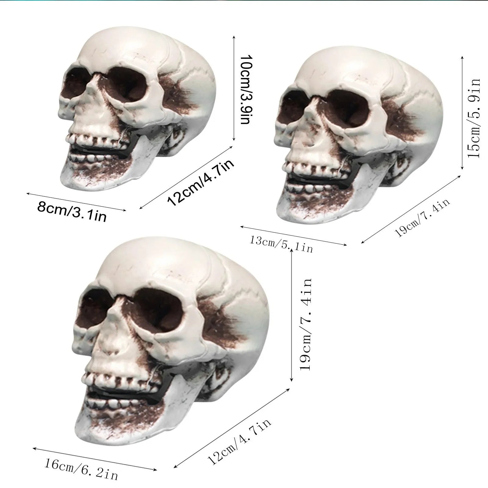 Halloween Realistic Plastic Skull Head Skeleton Model Halloween Party Home Yard Decoration Haunted House Horror Props Qme