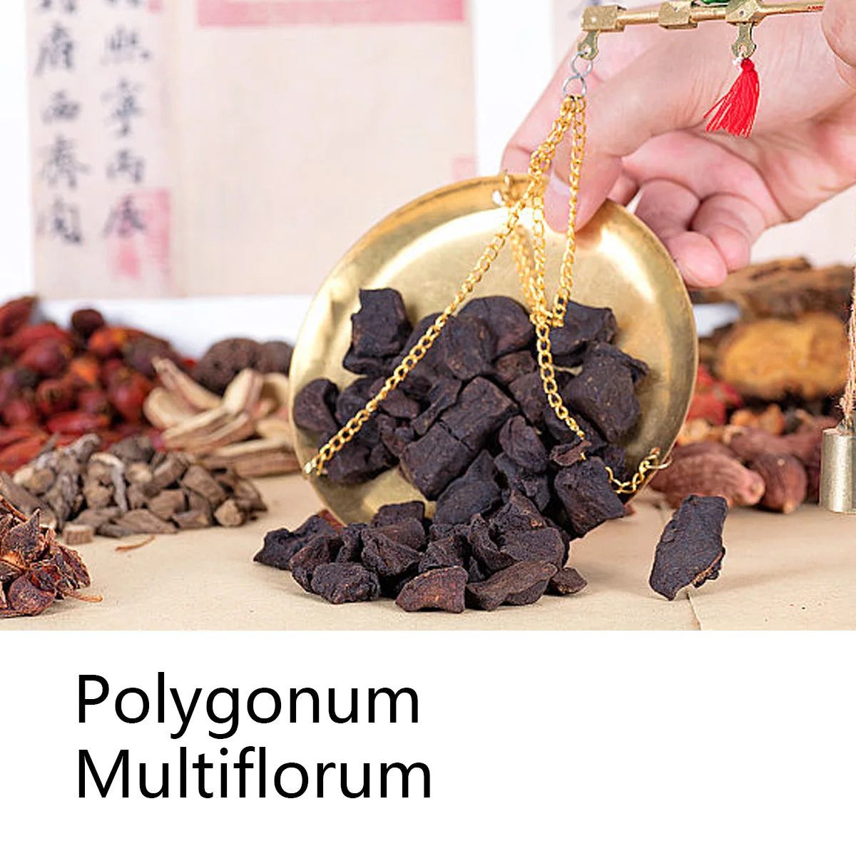 Polygonum Multiflorum Herbal Shampoo Soap Bar Plant Hair Care Qme