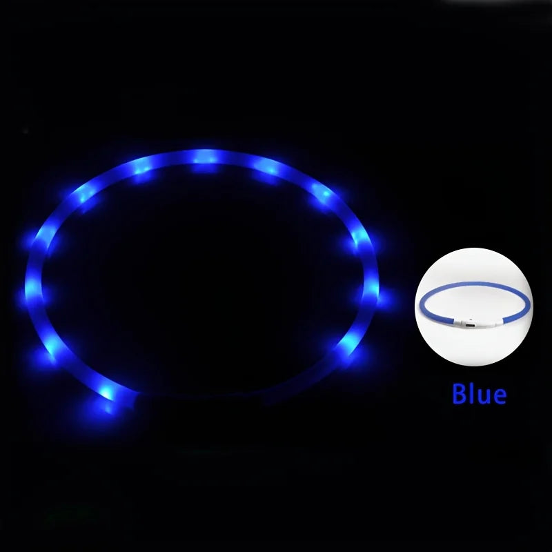 Dog collar LED USB charging light adjustable safety light, pet collar for walking dogs at night, illuminated collar Qme Blue M