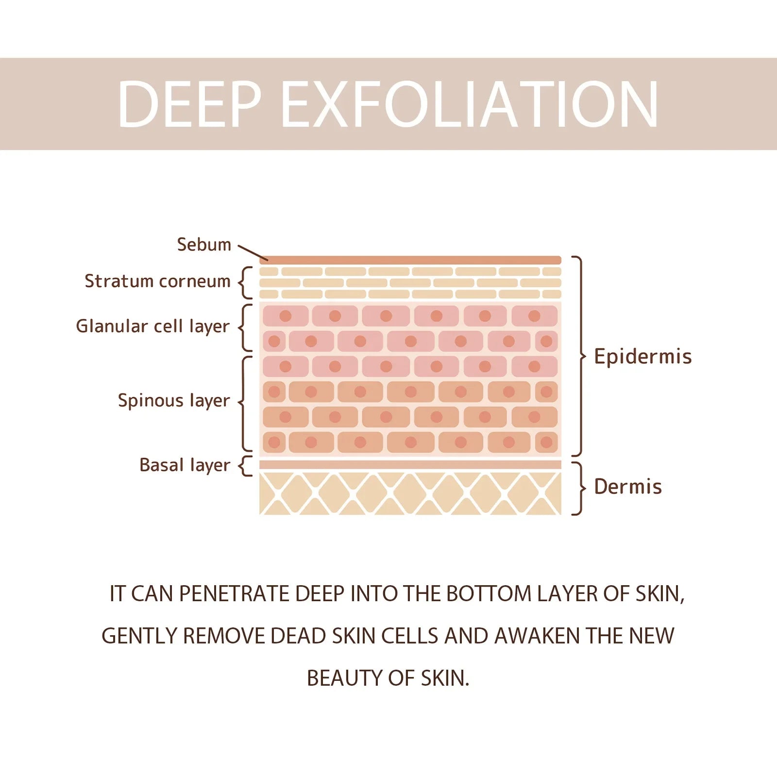 Exfoliating Gel Gentle Cleasning Pore Skin Smoothing Remove Dead Skin Blackhead Removal Cleansing Brighten Peeling Face Scrub Qme