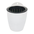 1X Wall-Mounted Flower Pot Automatic Water-Absorbing Plastic Self Watering Pot Green Dill Home Decoration Garden Supplies Qme M