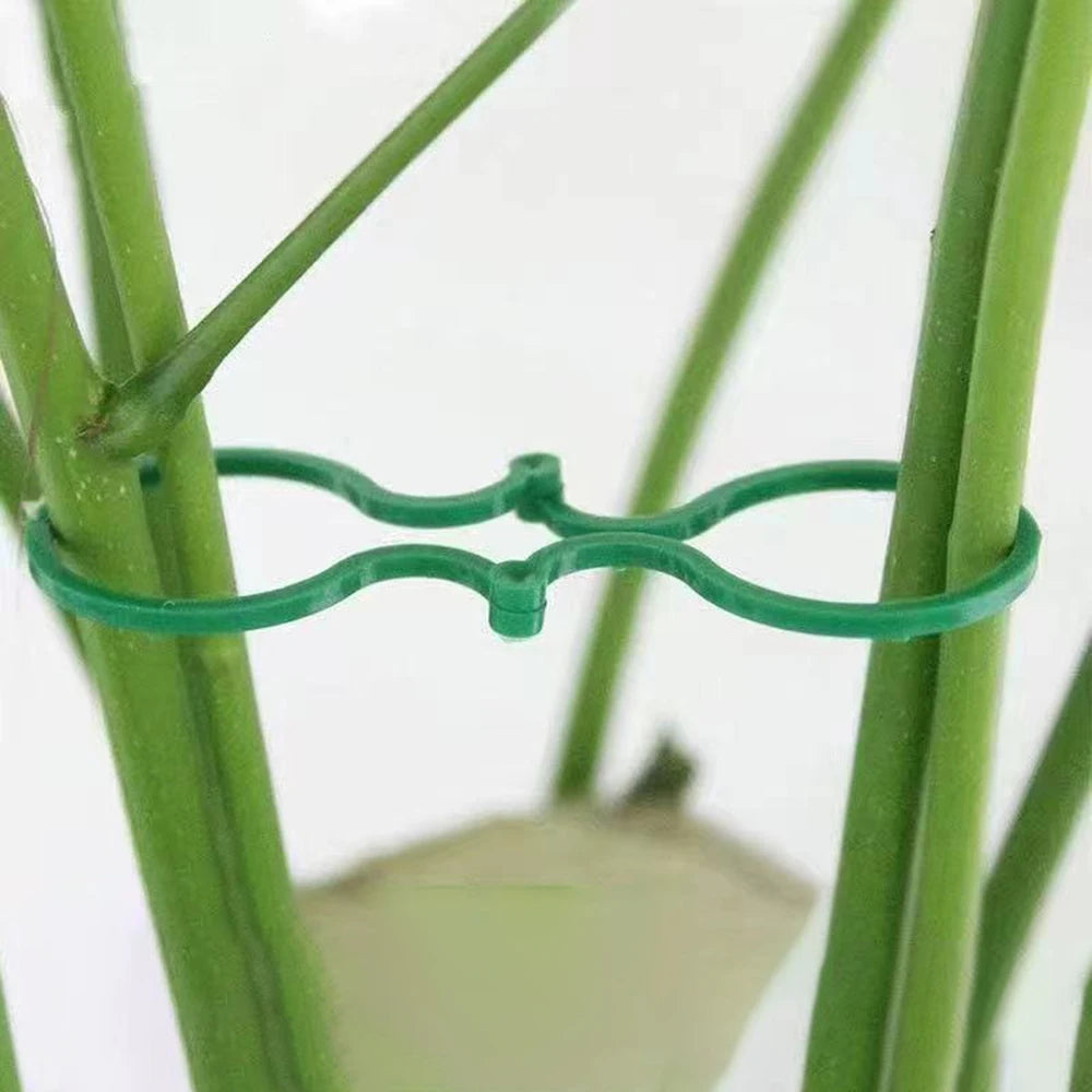 50PCS Horticulture 8 Figure-Eight Buckle Plastic Plant Binding Fixed Cable Tie Multi-Functional Fixed Clamp Hoist Ring Qme