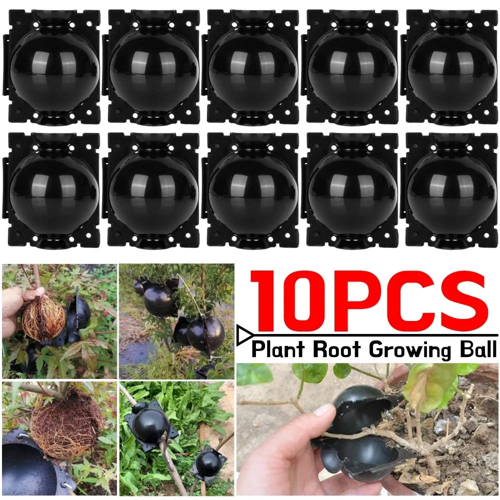 10PCS Plant Root Growing Ball Reusable Plants Rooting Ball Reproduction Device Garden Cuttings Grafting Rooting Propagation Ball Qme