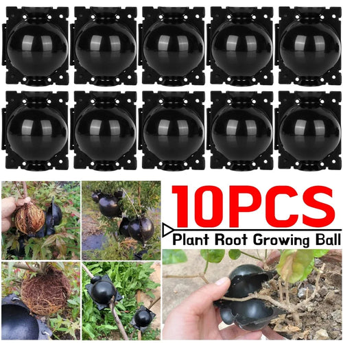 10PCS Plant Root Growing Ball Reusable Plants Rooting Ball Reproduction Device Garden Cuttings Grafting Rooting Propagation Ball Qme