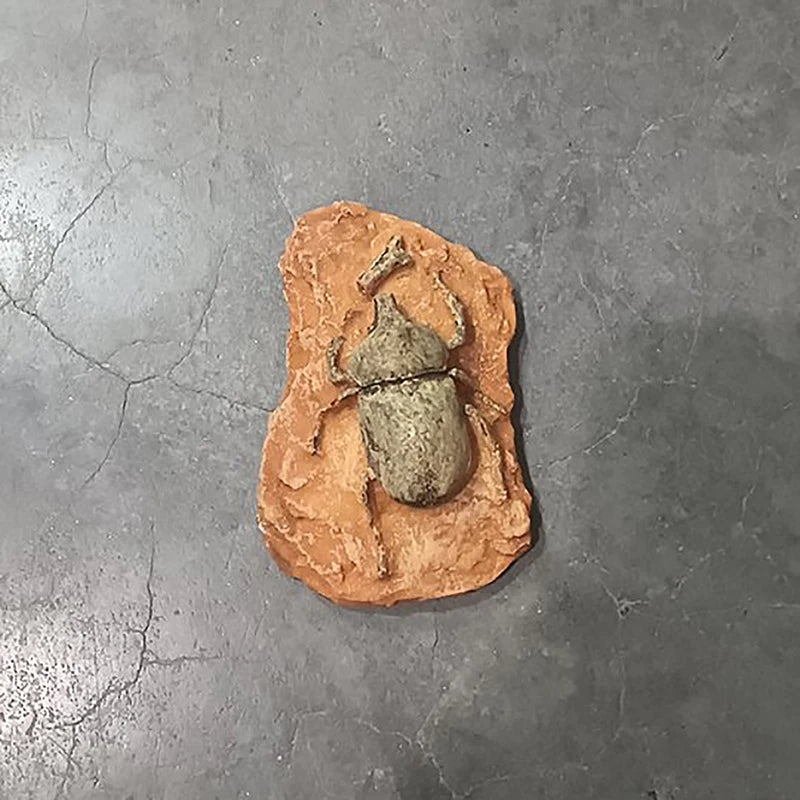 Child Toy Simulated Resin Fossil Ornament Crawling Terrarium Decors Qme A4