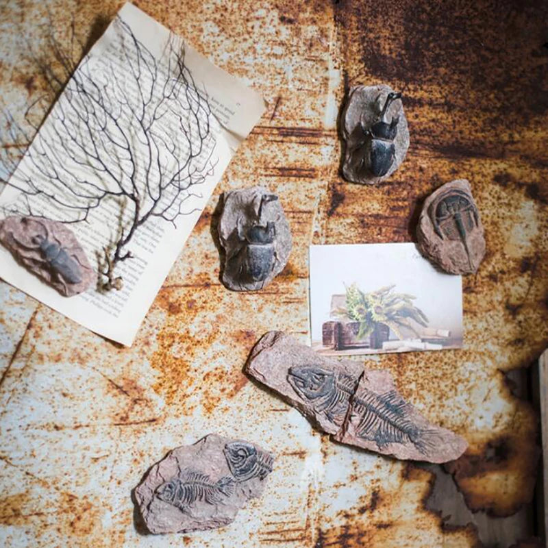 Child Toy Simulated Resin Fossil Ornament Crawling Terrarium Decors Qme