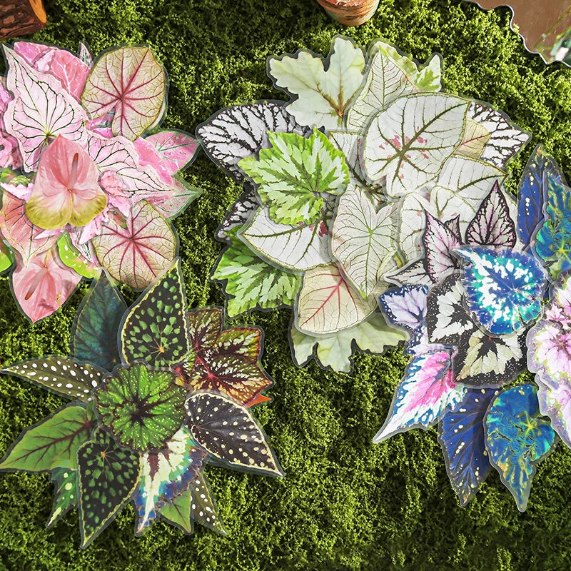 20 pcs Plants Flowers Leaf PET Sticker pack Hand Account Collage Junk Journal Planner Scrapbooking Decor Stationery Stickers Qme