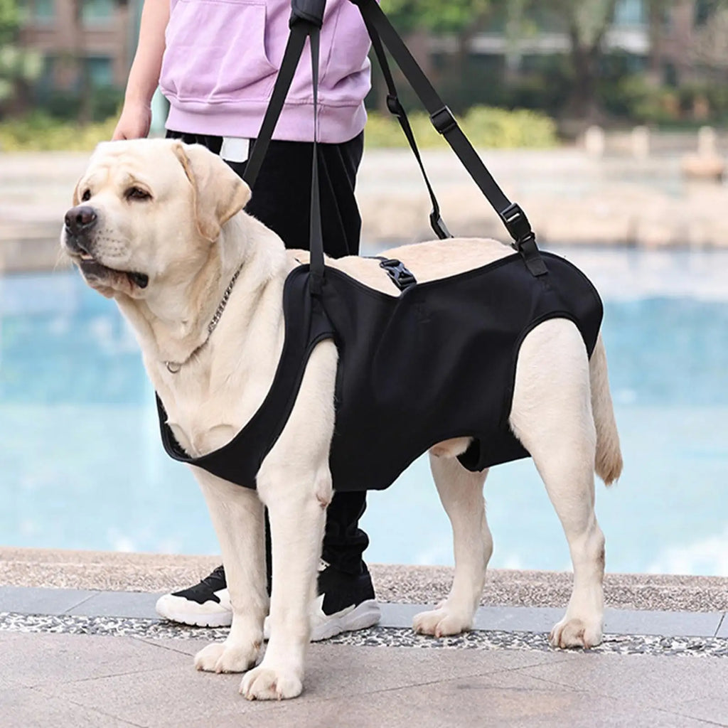 Pet Rehabilitation Sling Pet Support Harness Puppy Rehabilitation Lift Vest Adjustable Strap Thicken Handle For Joint Injuries Qme